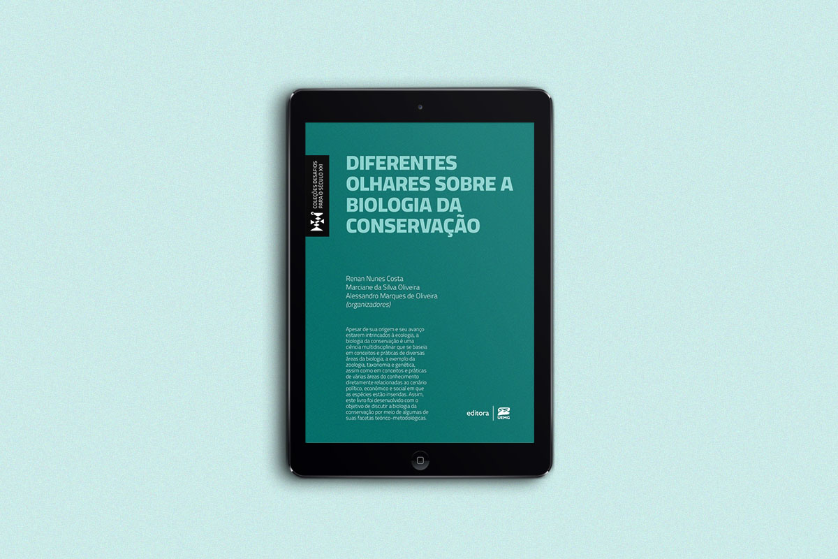 10 noticia site